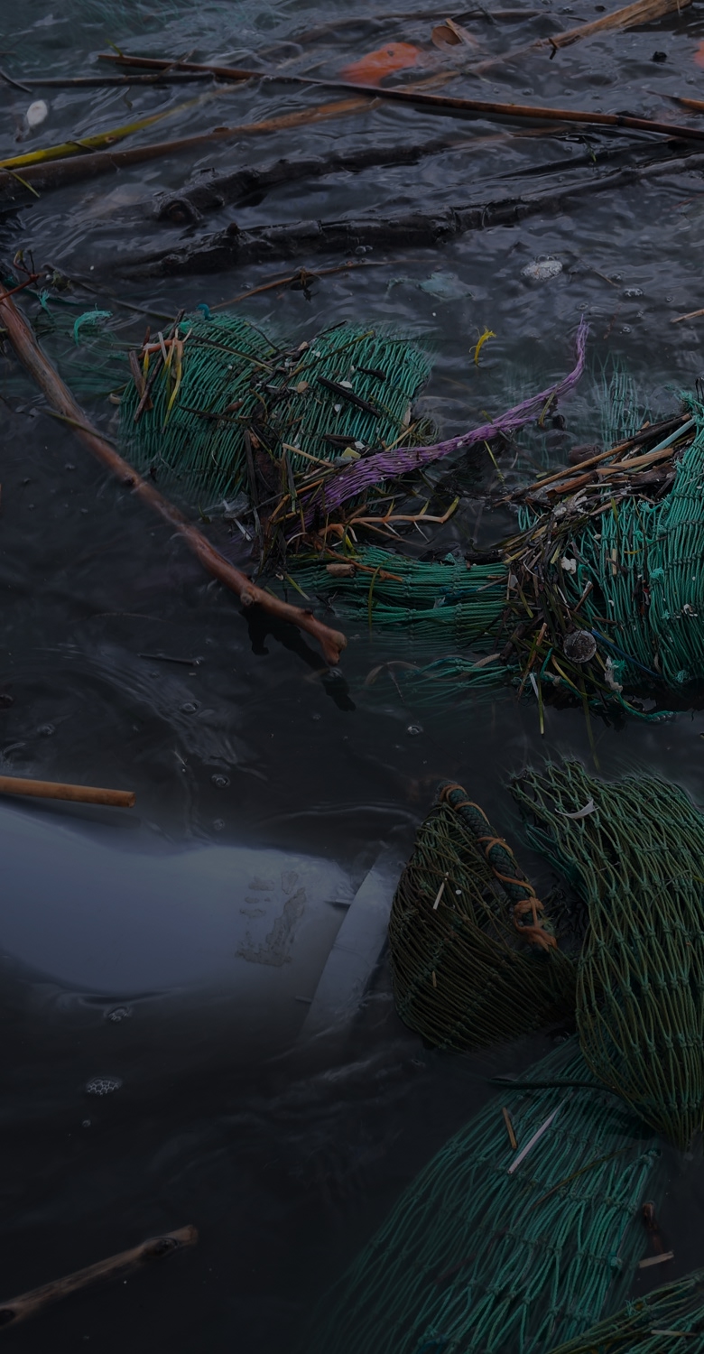 Microplastics contaminate the soil, showing the unseen pollution problem.
