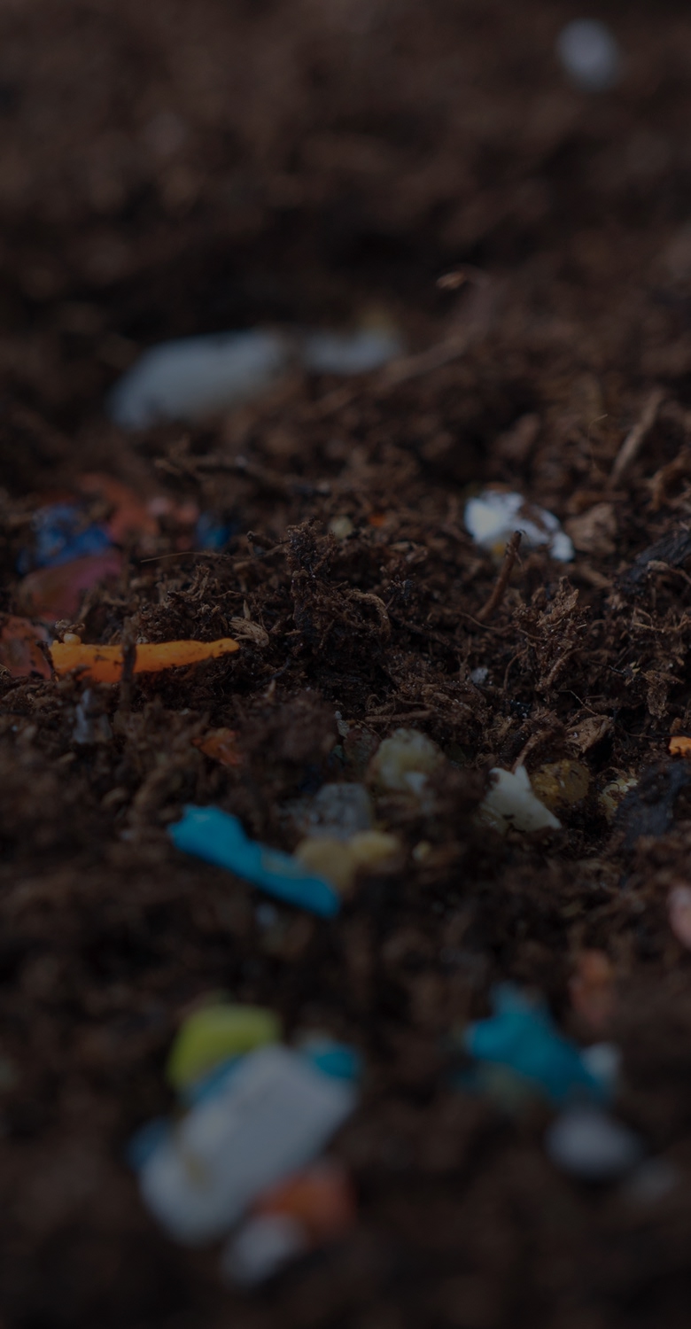 Microplastics in brain scans highlight potential health impacts of pollution.